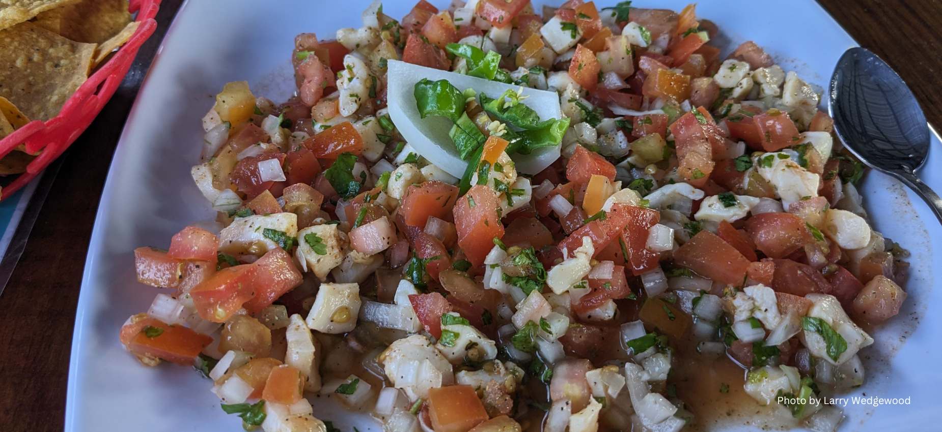 Conch Cevica conch ceviche