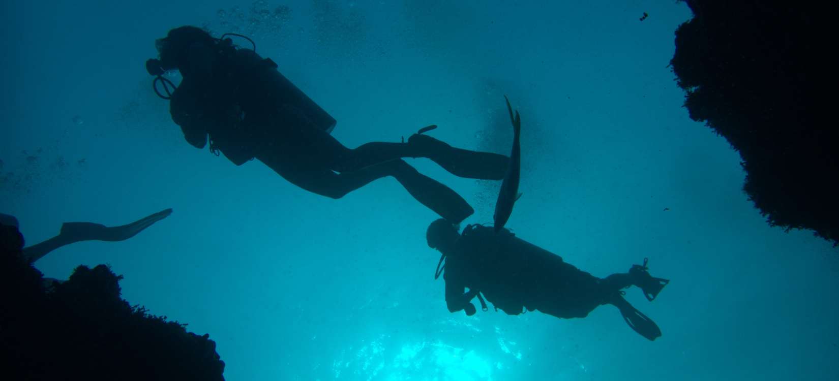 Divers above on the Belize Barrier Reef