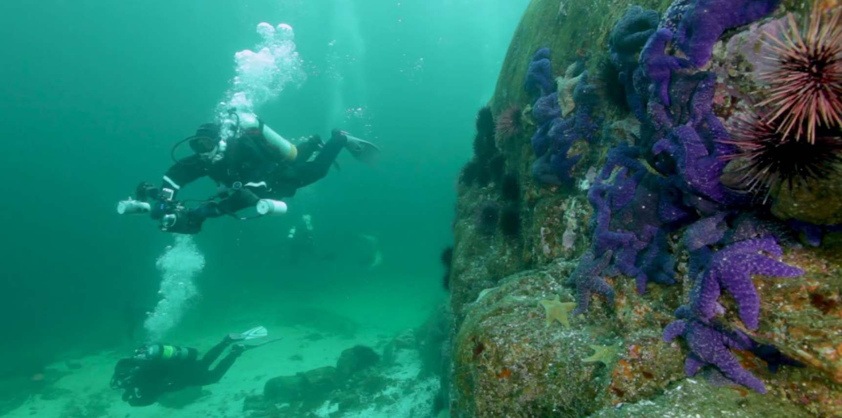 Carly Shares Her First Two Dives After Being Certified In Alberta