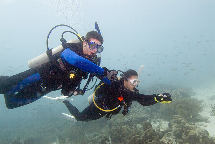 dive buddys