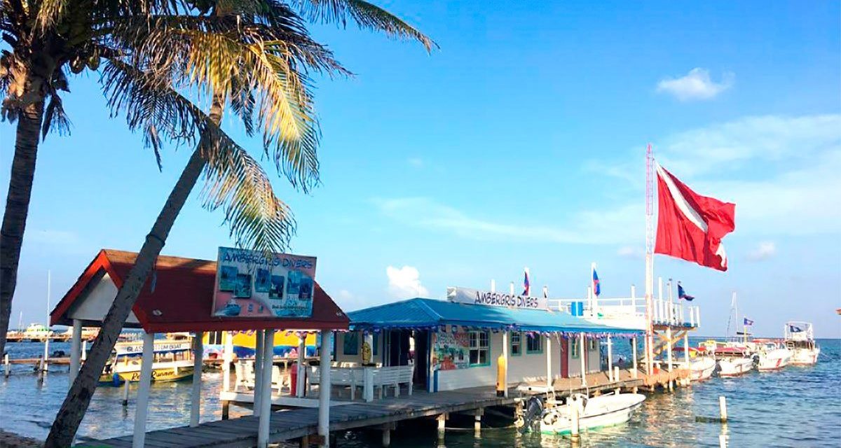 Discover the Top Dive Resorts in Belize