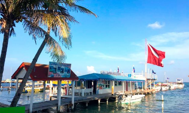 Discover the Top Dive Resorts in Belize