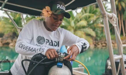 Passing the Torch: Why Succession Planning Matters in the Scuba Diving Industry